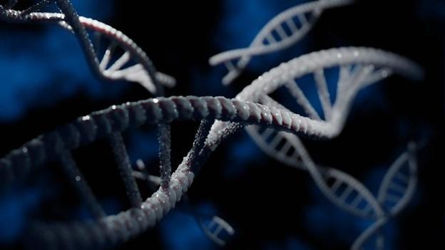 DNA double helix strand